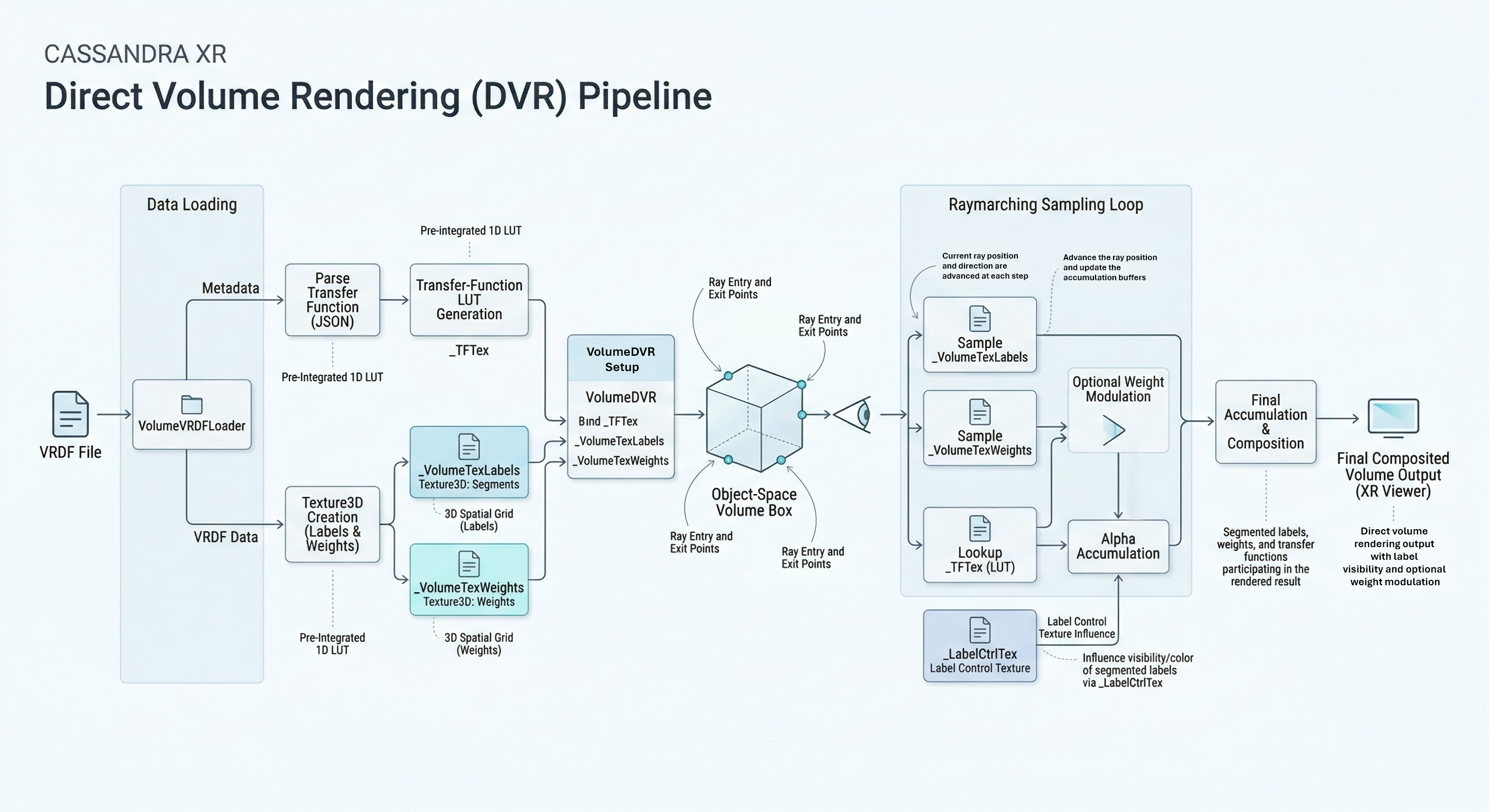 Direct volume rendering diagram in CASSANDRA XR